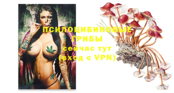 экстази Майский