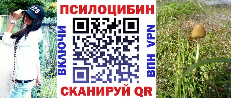 даркнет какой сайт  Сыктывкар  Галлюциногенные грибы Cubensis 
